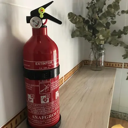 Rosas De Apartament