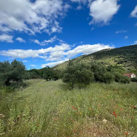 Apartament Rosas De