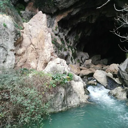 Rosas De Benaojan