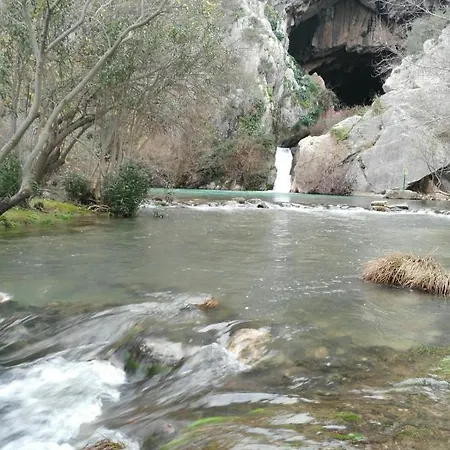 Rosas De