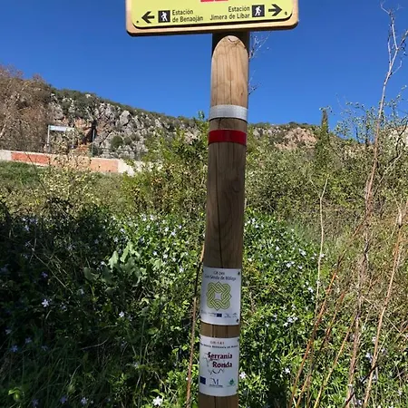 Rosas De Benaojan