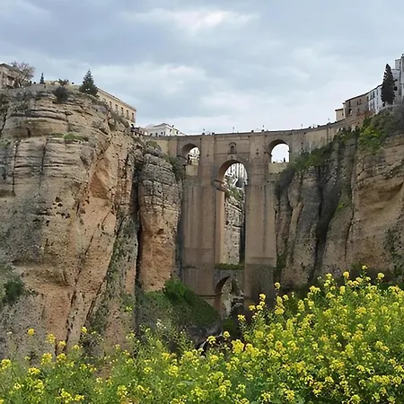 Rosas De Benaojan